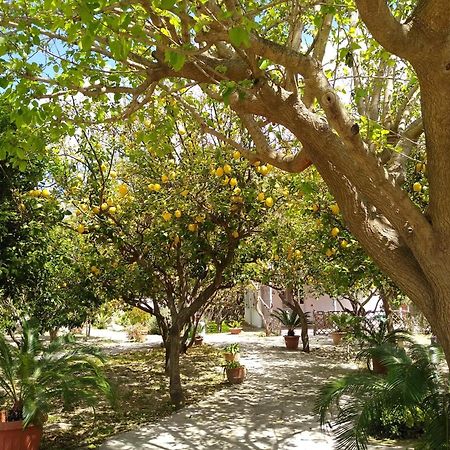 Residence Limoneto Ischia Forio  Exterior photo