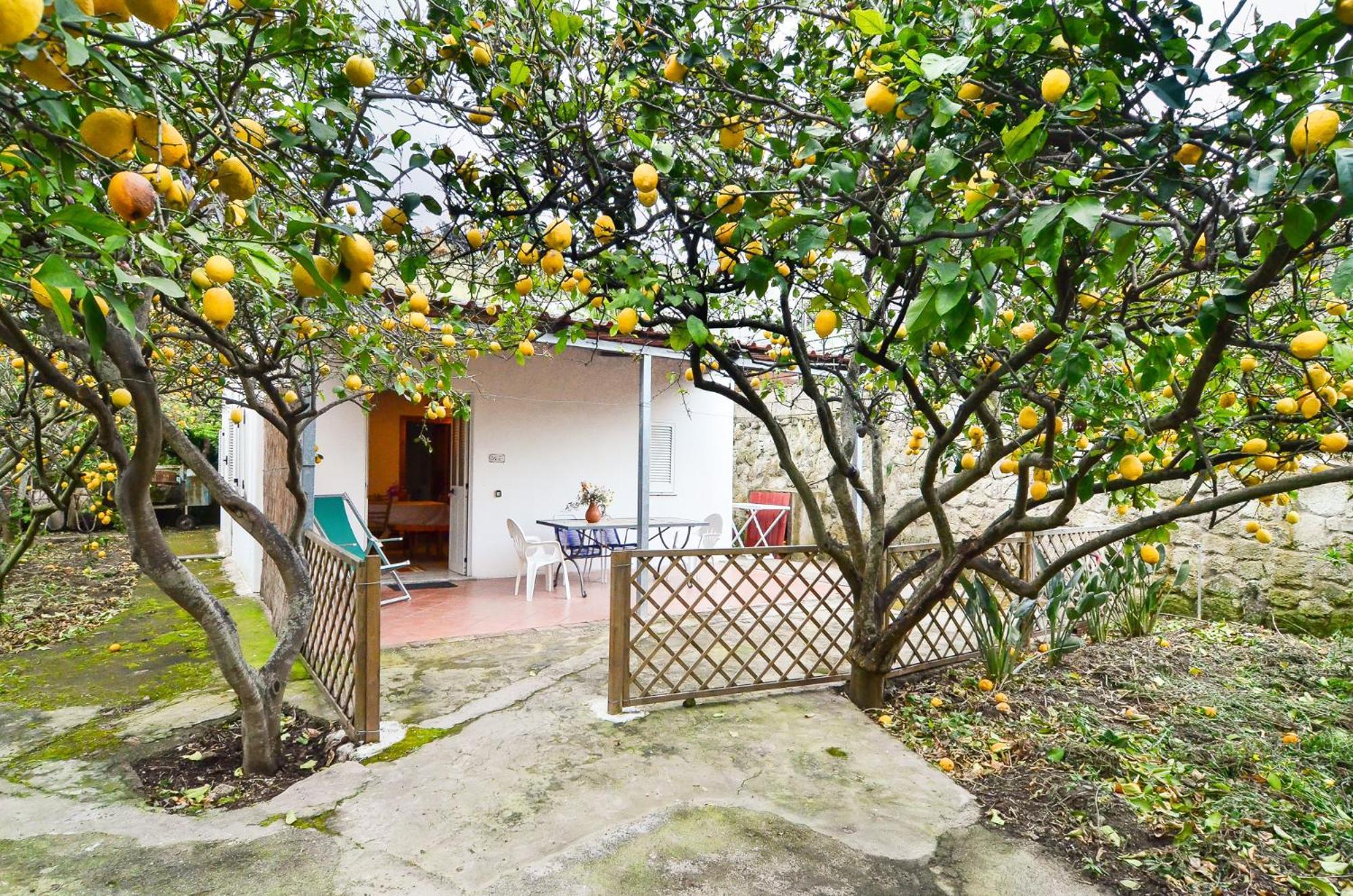 Residence Limoneto Ischia Forio  Exterior photo