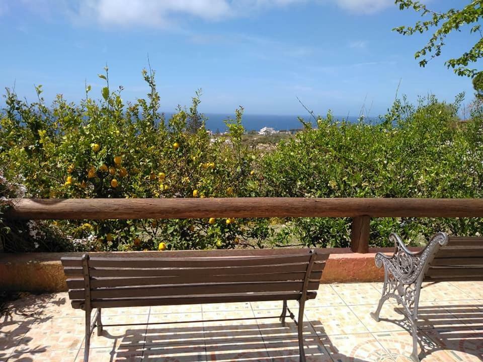 Residence Limoneto Ischia Forio  Exterior photo
